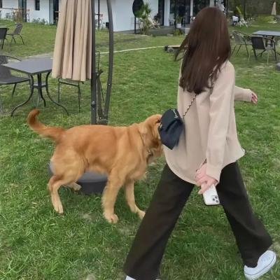 瓢虫少女第三季